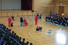 mmDSC_0081.jpg
