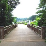 県立津久井湖城山公園（根小屋地区）