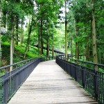 県立津久井湖城山公園（根小屋地区）