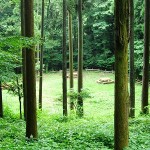 県立津久井湖城山公園（根小屋地区）