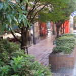 相模大野駅周辺