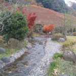 相模川自然の村公園