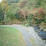 相模川自然の村公園