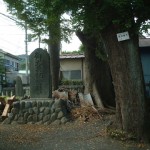 田名八幡宮