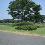 花と芝生の広場