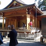 亀ケ池八幡宮