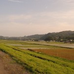 田園風景