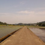 田園風景