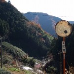 熊野神社